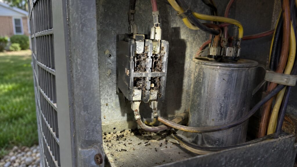 Ants packed inside the contactor of an outdoor AC unit, which can keep the unit from starting
